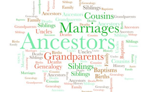 Genealogy